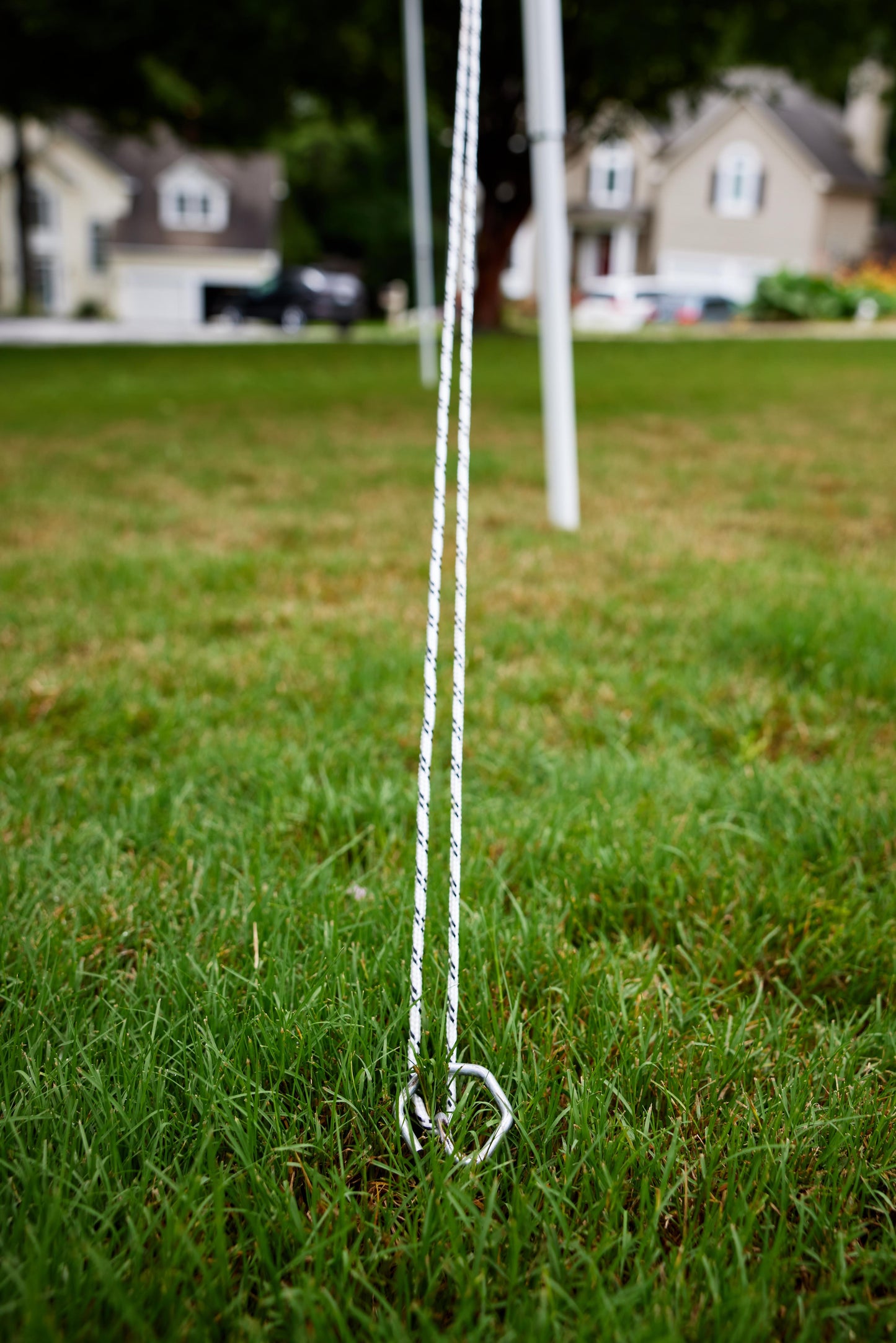 Falcon Hex Pins HS Landscape Anchors | 100 Count Box | 8 and 12 inch Hex pin for soft ground